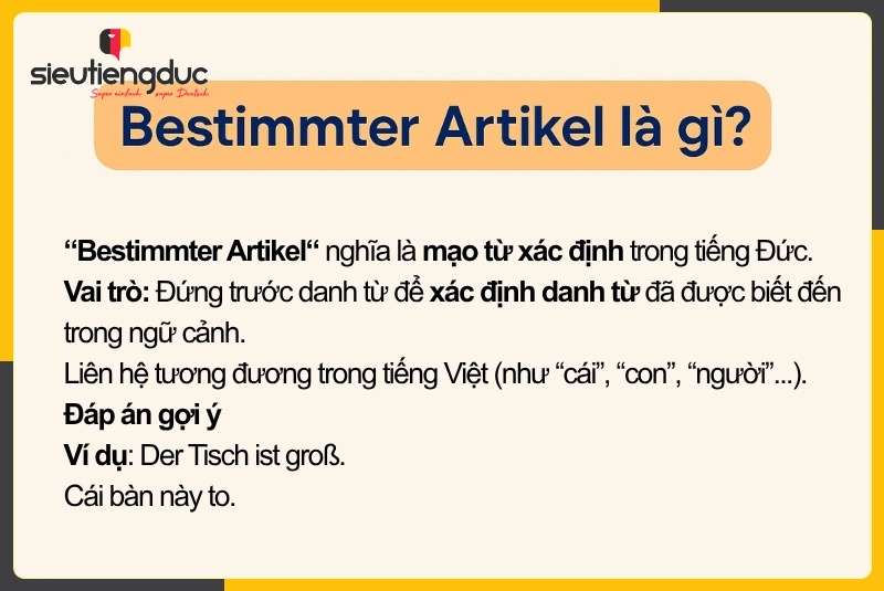 Bestimmter Artikel là gì? Cách dùng der, die, das dễ hiểu nhất 43 Bestimmter Artikel là gì? Cách dùng der, die, das dễ hiểu nhất