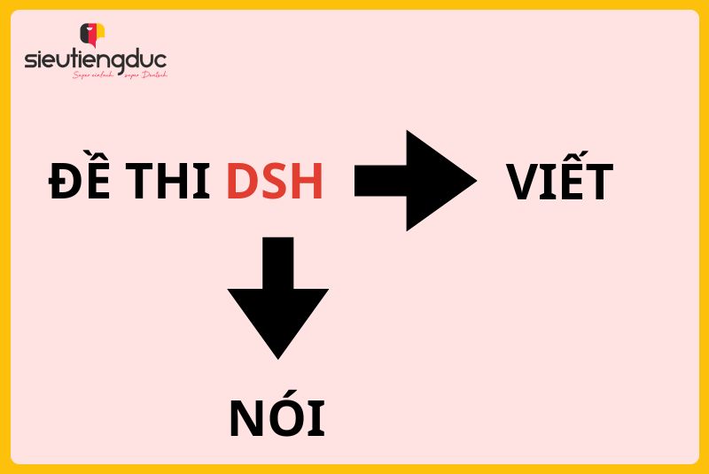 Hướng dẫn thi DSH: Điều kiện thi và cấu trúc đề chi tiết 4 Cấu trúc của đề thi DSH