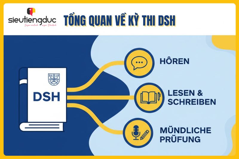 Hướng dẫn thi DSH: Điều kiện thi và cấu trúc đề chi tiết 1 Tổng quan về kỳ thi DSH