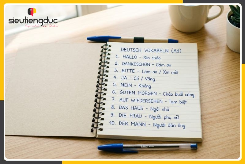 Từ vựng A1 có khó không?